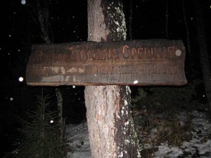 Орешная 3