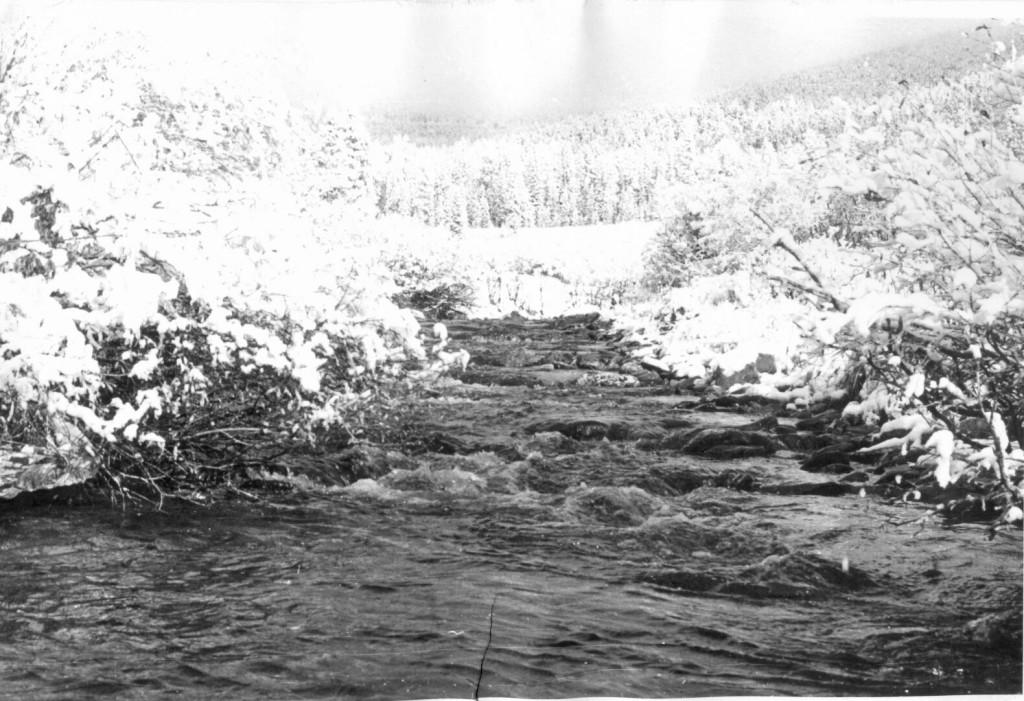 Стоктыш, август 1974 год.