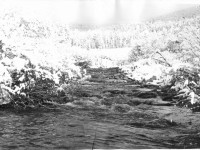 Стоктыш, август 1974 год.