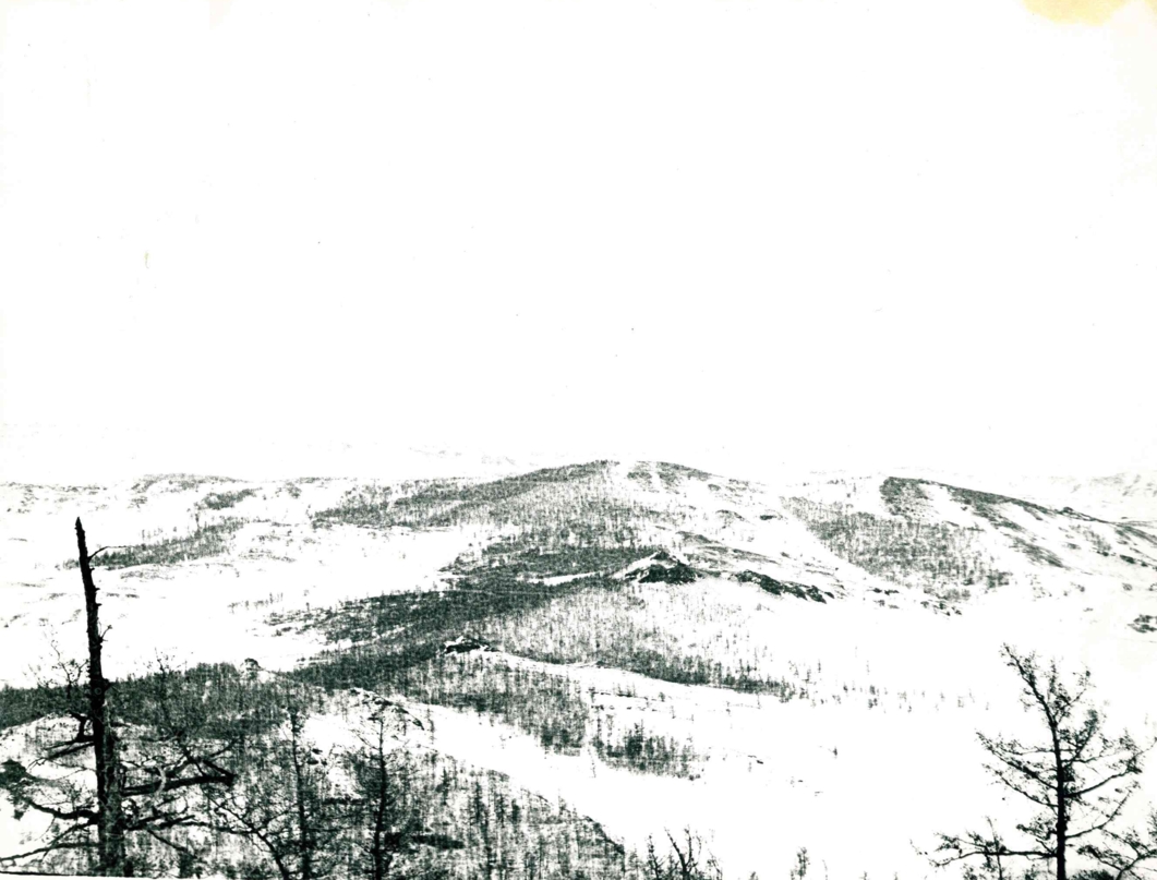 Photo3