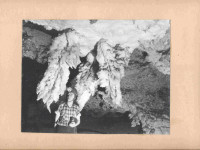 spl-0013