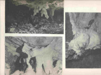 spl-0014