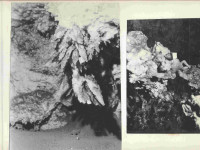 spl-0016
