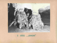 spl-0019