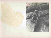 spl-0041
