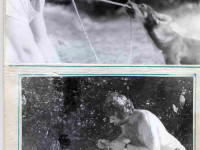 andry-0037