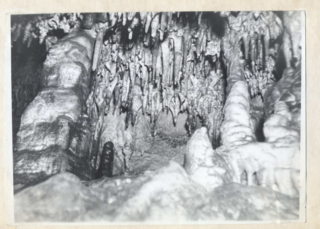 andry-0215