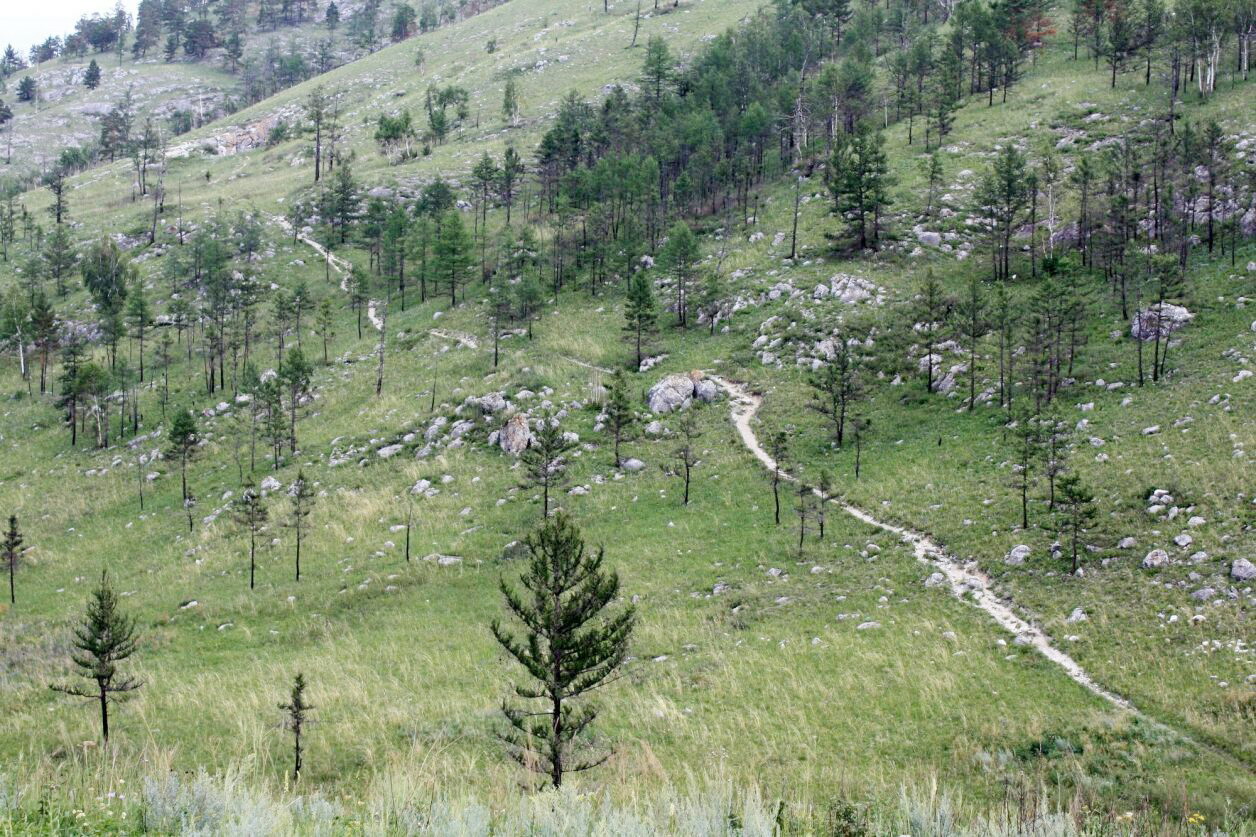 Бородинск4