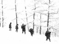 Саксыр.